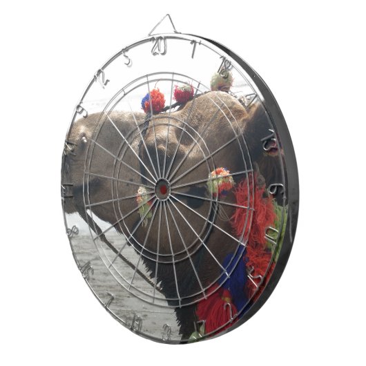 Oman Muscat Camel Foto Art Print Dartscheibe (Vorderseite rechts)