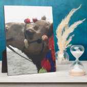 Oman Muscat Camel Foto Art Print Fotoplatte (Seite)