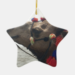 Oman Muscat Camel Foto Art Print Keramikornament
