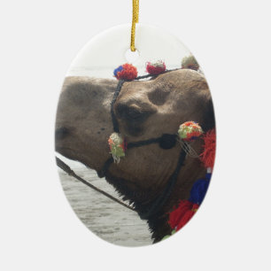 Oman Muscat Camel Foto Art Print Keramikornament