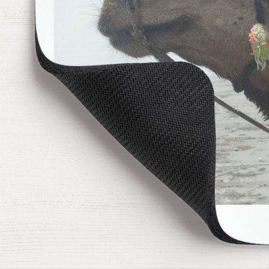 Oman Muscat Camel Foto Art Print Mousepad (Ecke)