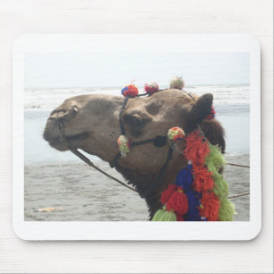 Oman Muscat Camel Foto Art Print Mousepad