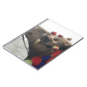 Oman Muscat Camel Foto Art Print Notizblock (Linke Seite)