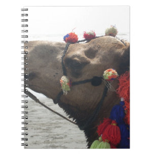 Oman Muscat Camel Foto Art Print Notizblock