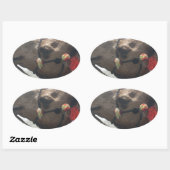 Oman Muscat Camel Foto Art Print Ovaler Aufkleber (Blatt)