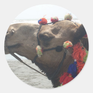 Oman Muscat Camel Foto Art Print Runder Aufkleber