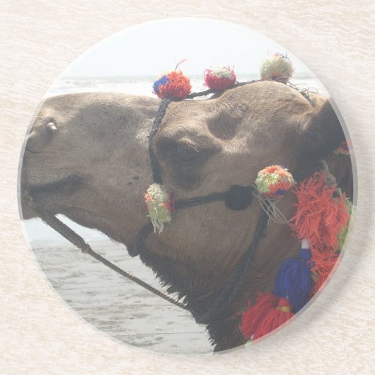Oman Muscat Camel Foto Art Print Sandstein Untersetzer (Vorne)
