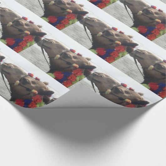 Oman! Muscat Geschenkpapier (Ecke)