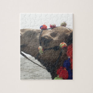 Oman Muscat Kamel Foto Kunst Druck Puzzle