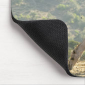 Oman, Region Dhofar, Salalah. Beige Mousepad (Ecke)