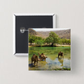 Oman, Wadi darbat Button (Vorne & Hinten)