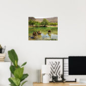 Oman, Wadi darbat, Dromedarien, die in der Poster (Heimbüro)