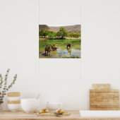 Oman, Wadi darbat, Dromedarien, die in der Poster (Küche)