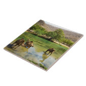 Oman, Wadi darbat Fliese (Seite)