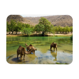 Oman, Wadi darbat Magnet