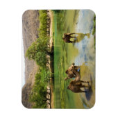 Oman, Wadi darbat Magnet (Vertikal)