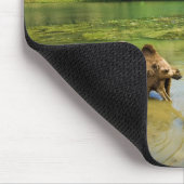 Oman, Wadi darbat Mousepad (Ecke)