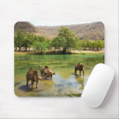 Oman, Wadi darbat Mousepad (Mit Mouse)