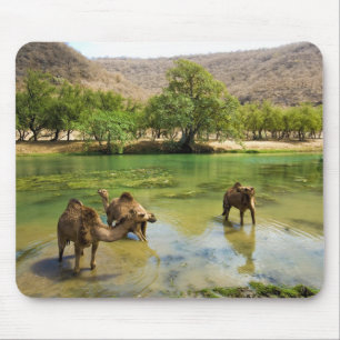 Oman, Wadi darbat Mousepad