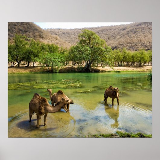 Oman, Wadi Darbat Poster (Vorne)