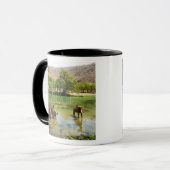 Oman, Wadi darbat Tasse (Vorderseite Links)
