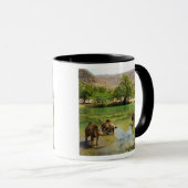 Oman, Wadi darbat Tasse (VorderseiteRechts)