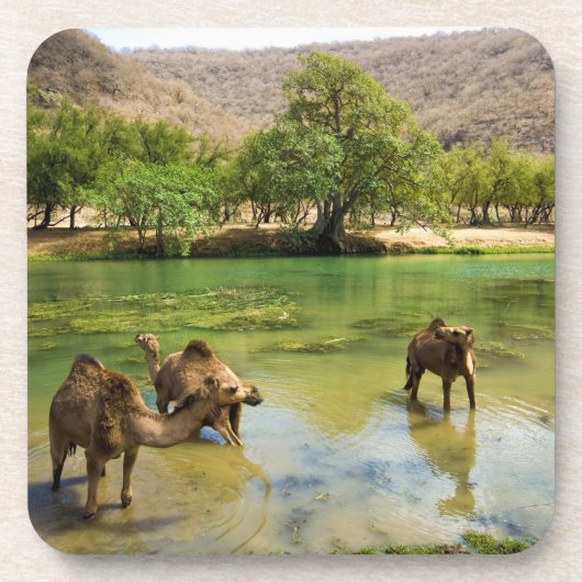 Oman, Wadi darbat Untersetzer (Vorderseite)