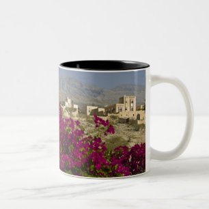 Oman, Westliche Hajar-Berge, Al Hamra. Stadt Zweifarbige Tasse