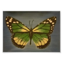 Oma's Butterfly 12x18 Print