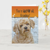 Oma's Geburtstag Karte (Gelbe Blume)