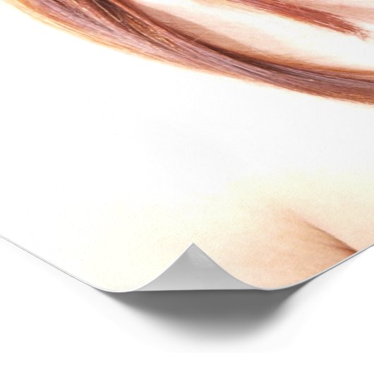 Ombre' Poster (Ecke)