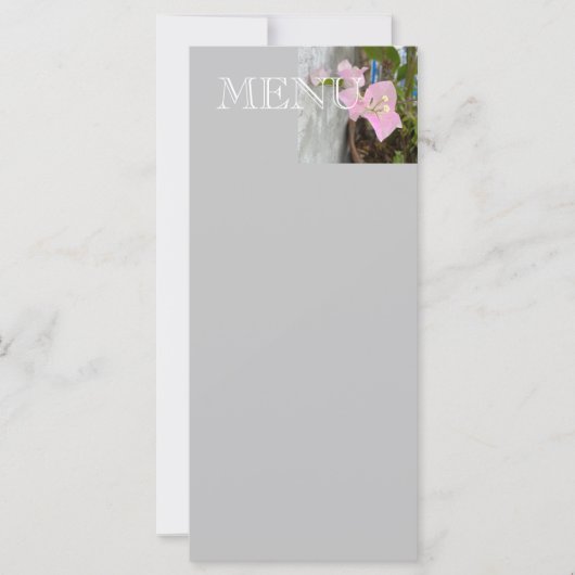 ombre rosa Bougainvillea oder Papier Blume, tropis (Vorderseite)