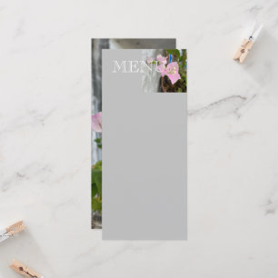 ombre rosa Bougainvillea oder Papier Blume, tropis