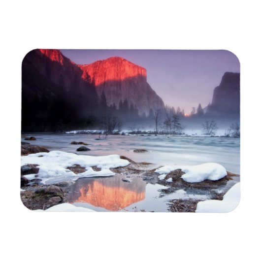 Omega Red Magnet (Horizontal)