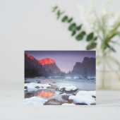 Omega Red Postkarte (Stehend Vorderseite)