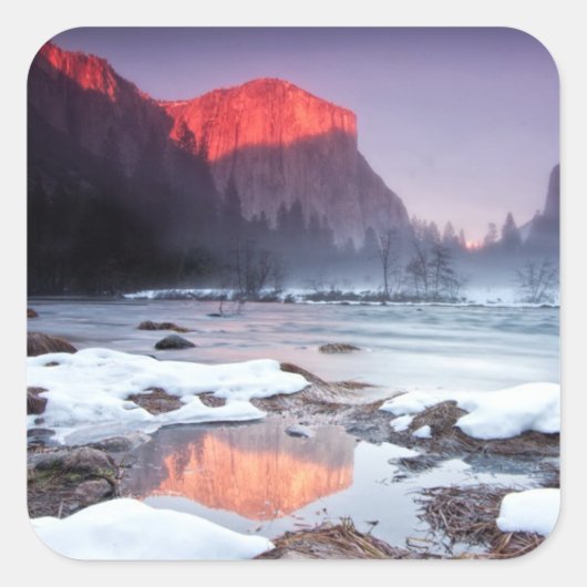 Omega Red Quadratischer Aufkleber (Vorderseite)