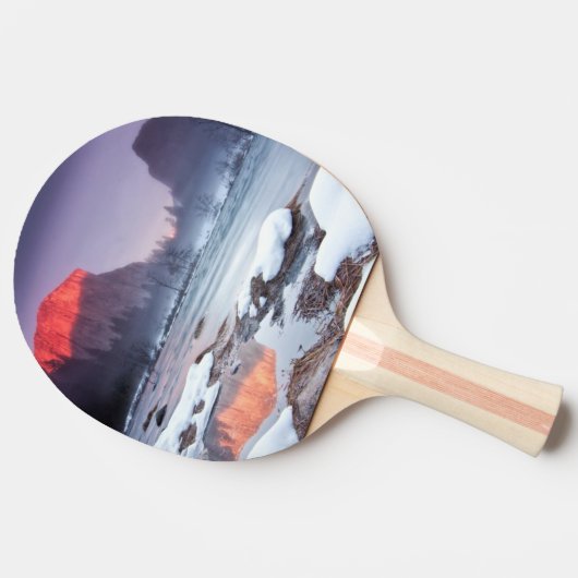 Omega-Rot Tischtennis Schläger (Seitenansicht)