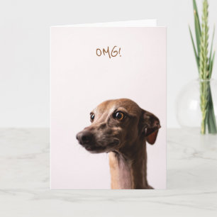 OMG-Hundekarte Karte