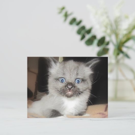 OMG POSTKARTE (Stehend Vorderseite)