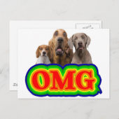 OMG Rainbow mit überraschten Hunden! Postkarte (Vorne/Hinten)