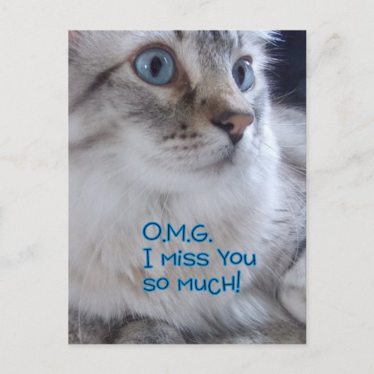 OMG Sie verpassen Postkarten (Vorderseite)