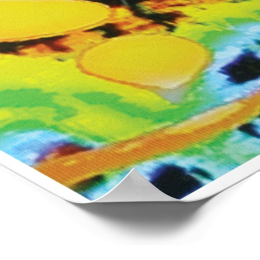 Omlette KC Image Poster (Ecke)