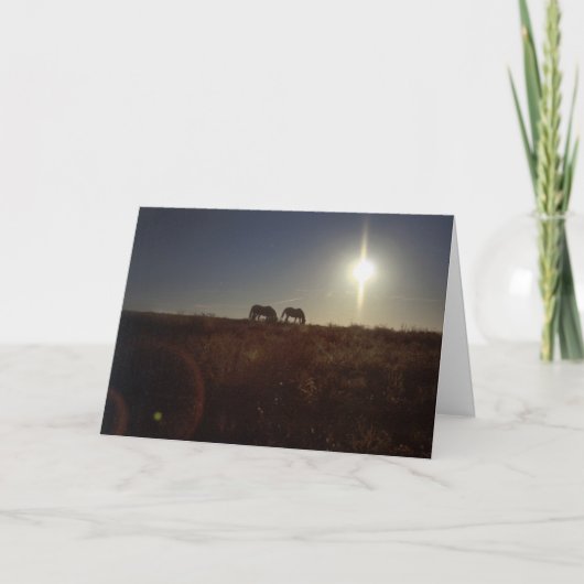 OMRH Christmas 2008 Feiertagskarte (Vorderseite)