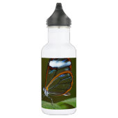 "On a Clear Day" Glaswing Butterfly Design Edelstahlflasche (Rechts)