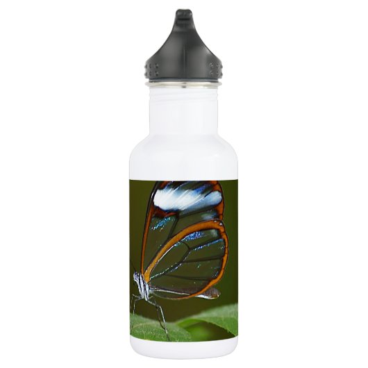 "On a Clear Day" Glaswing Butterfly Design Edelstahlflasche (Rechts)