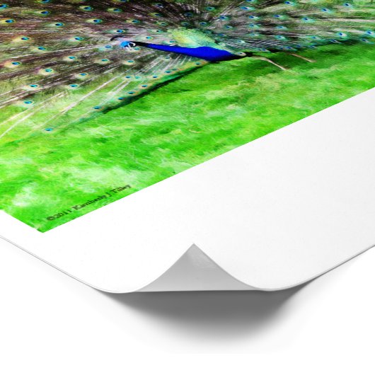 On Display Print Poster (Ecke)