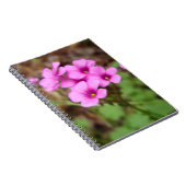 On My Doorstep Notebook Notizblock (Rechte Seite)