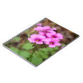 On My Doorstep Notebook Notizblock (Linke Seite)