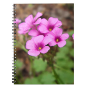 On My Doorstep Notebook Notizblock