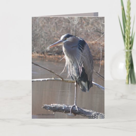 On One Leg Karte (Vorderseite)